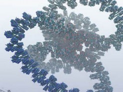 Ученые создали самую полную компьютерную модель гена ДНК