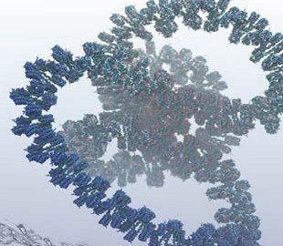 Ученые создали самую полную компьютерную модель гена ДНК