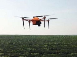 Искусственный интеллект и дроны позволят следить за фермами на микроуровне