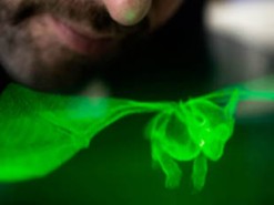 Ученые приблизились к созданию трехмерных голографических дисплеев