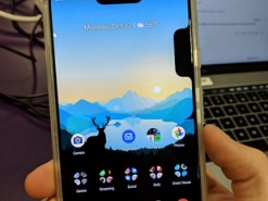 У флагманского смартфона Google Pixel 3 XL обнаружили вторую «бровь»