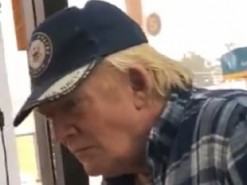 В сети нашли пузатого двойника Трампа