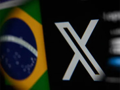 У Німеччині в мережі Х виявили безліч фейкових повідомлень на підтримку ультраправої АдН