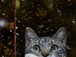 Проходимо зиму з комфортом: поради українця, який пережив окупацію