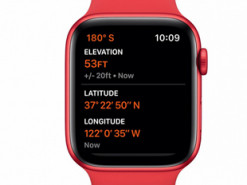 В Apple Watch обнаружена очередная проблема