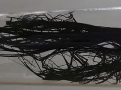 Ученым из Японии удалось вырастить «лес» углеродных нанотрубок рекордной длины