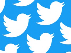 У стрекозы, влетевшей в рот вратарю сборной Франции, появился аккаунт в Twitter