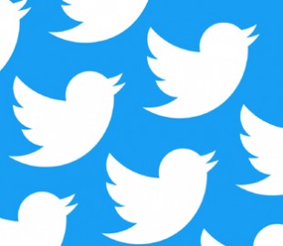 У стрекозы, влетевшей в рот вратарю сборной Франции, появился аккаунт в Twitter