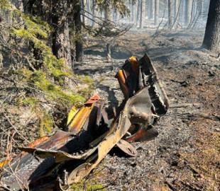 На Алясці розбився військово-транспортний літак, двоє людей загинули