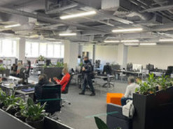 ГФС разоблачила международное онлайн-казино с ежегодным оборотом $30 миллионов