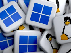 Windows вперше за багато років опустилася нижче 60% ринку ПК, а Linux продовжує зміцнювати позиції