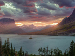 Автор убивающего Android-смартфоны снимка рассказал о его происхождении