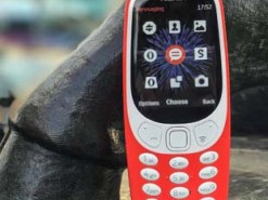 Кнопочные телефоны вновь в тренде