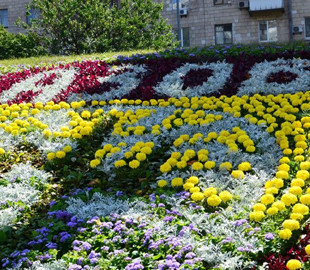 У Києві створили панно із квітів на честь полку "Азов" (фото)