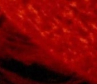 В NASA показали впечатляющее видео плазменного "торнадо" на Солнце