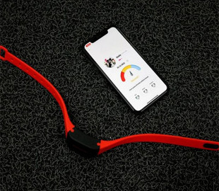 Южнокорейский стартап разработал ошейник, который анализирует лай собак