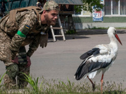 Позивний Байрактар: захисники України показали кумедну зустріч із "біологічною зброєю"
