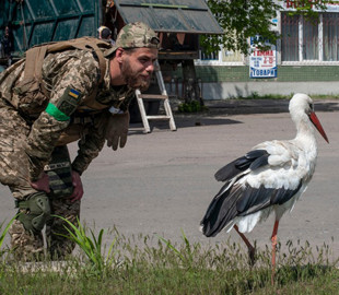 Позивний Байрактар: захисники України показали кумедну зустріч із "біологічною зброєю"