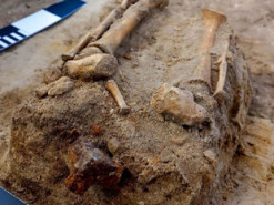 Біля могили польської «вампірки» знайшли поховання «вампіра»-дитини