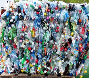 Вчені виявили тварину, яка може врятувати людство від забруднення пластиком