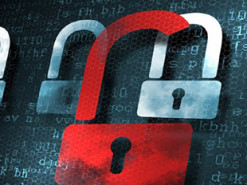 Роскомнадзор заблокировал сайт украинского министерства из-за статьи о коронавирусе на Донбассе