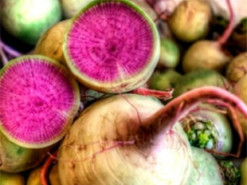 Названі 10 найкорисніших сезонних продуктів