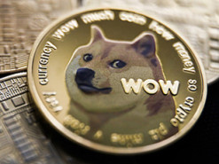 Породивший любимую криптовалюту Маска мем продан за миллионы долларов