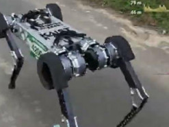 Корейський чотириногий робот став першим, що пробіг марафон