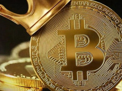 Университет в США начал принимать биткоин для оплаты обучения