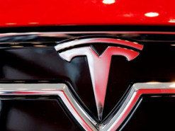 Tesla запустила первую в Китае зарядную станцию на солнечных батареях