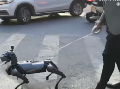 На улицах Шанхая заметили первого робопса Xiaomi CyberDog