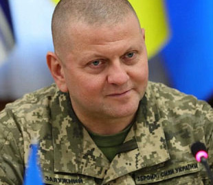 Залужний запропонував Міноборони дозволити виїзд за кордон тим, хто не підлягає мобілізації — нардепка