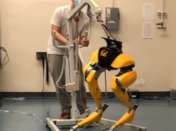 Робот научился ходить, не сделав ни одного шага