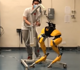 Робот научился ходить, не сделав ни одного шага