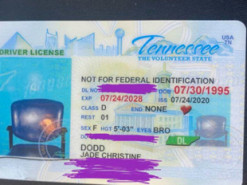 Американці видали права з фотографією стільця