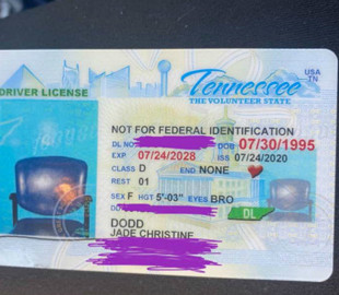 Американці видали права з фотографією стільця