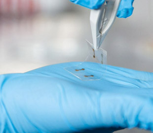 Разработаны гибкие и дешевые экраны для смартфонов будущего