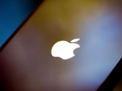 За розповсюдження підробленої продукції «Apple» організованій групі шахраїв загрожує до 12 років ув’язнення