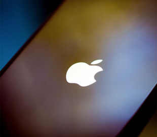 За розповсюдження підробленої продукції «Apple» організованій групі шахраїв загрожує до 12 років ув’язнення