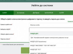 Пенсіонерам розповіли, як виправити дані при оформленні виплат онлайн