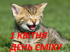 Cписок фейків 1 квітня. Кенгуру в Чорнобильській зоні, Voltswagen і чипізація з секс-режимом