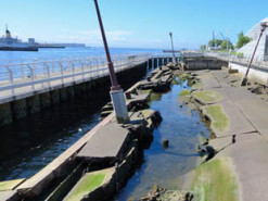 Интернет-кабели помогут следить за землетрясениями