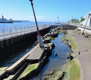 Интернет-кабели помогут следить за землетрясениями