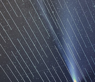 Мини-спутники Илона Маска помешали наблюдению за кометой Neowise