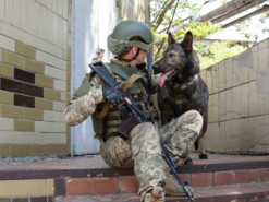 Шукає "подарунки" окупантів: у Міноборони служить пухнаста розвідниця Вєста