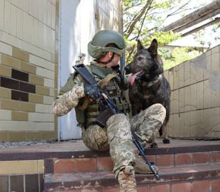 Шукає "подарунки" окупантів: у Міноборони служить пухнаста розвідниця Вєста