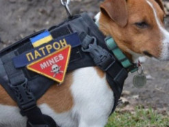 У ДСНС разом з псом Патроном розповіли, як поводитись зі знайденими касетними боєприпасами