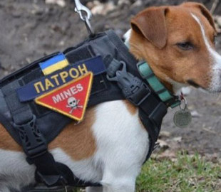 У ДСНС разом з псом Патроном розповіли, як поводитись зі знайденими касетними боєприпасами