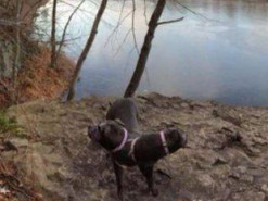 Самые смешные панорамные снимки