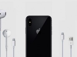 В коробке нового iPhone будет старая зарядка на 5Вт
